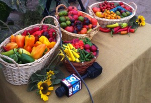 suzies organic csa farm san diego county