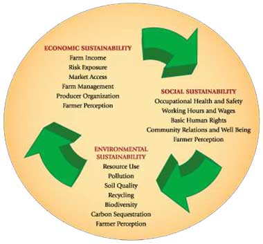 Sustain This – #nofreerefills cosa-circle-of-sustainability